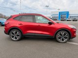 Used 2022 Ford Escape SE w/ SE Sport Appearance Package image 6
