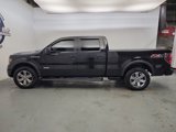 Used 2014 Ford F150 FX4 w/ Equipment Group 402A Luxury image 5