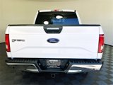 Used 2017 Ford F150 XLT w/ Equipment Group 302A Luxury image 6