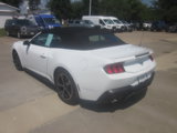Used 2024 Ford Mustang Premium image 4