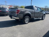Used 2010 Ford F150 XLT image 6