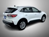 Used 2021 Ford Escape SE w/ Convenience Package image 5