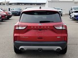 Used 2020 Ford Escape Titanium w/ Titanium Premium Package 2.0 image 4