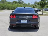 Used 2022 Ford Mustang Coupe w/ Equipment Group 101A image 6