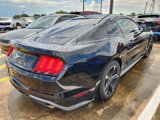 Used 2019 Ford Mustang Coupe image 5