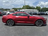 Used 2019 Ford Mustang Coupe w/ Equipment Group 101A image 4