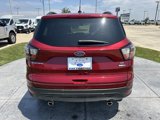 Used 2017 Ford Escape SE w/ SE Sport Appearance Package image 5