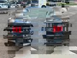 Used 2015 Ford Mustang GT Premium w/ Equipment Group 401A image 4