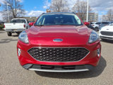Certified 2021 Ford Escape SEL image 3
