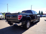 Used 2012 Ford F150 XLT w/ XLT Chrome Pkg image 4
