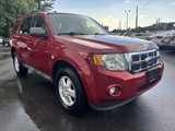 Used 2011 Ford Escape XLT w/ 201A Rapid Spec Order Code image 3