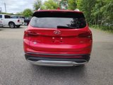 Used 2023 Hyundai Santa Fe SEL w/ Premium Package image 4