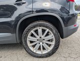 Used 2015 Volkswagen Tiguan SEL image 4