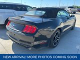 Used 2022 Ford Mustang Premium image 4