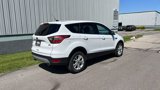 Used 2017 Ford Escape SE image 5