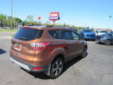Used 2017 Ford Escape SE w/ Equipment Group 201A image 6