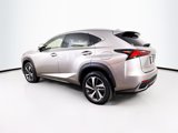 Used 2021 Lexus NX 300h AWD w/ Premium Package image 3