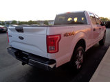 Used 2016 Ford F150 XLT image 5