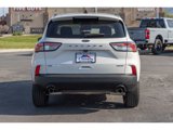 Used 2022 Ford Escape SE w/ SE Sport Appearance Package image 4