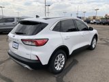 Used 2020 Ford Escape SE image 5