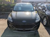 Used 2020 Ford Escape SE image 2