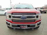 Used 2019 Ford F150 XLT w/ Equipment Group 302A Luxury image 3