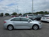 Used 2024 Toyota Corolla LE image 2