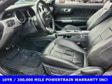 Used 2022 Ford Mustang Premium image 3
