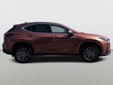New 2025 Lexus NX 350 AWD w/ Cold Area Package image 4