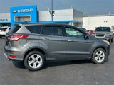 Used 2014 Ford Escape SE image 4