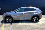 Used 2021 Lexus NX 300 AWD w/ Premium Package image 2