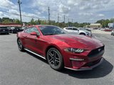 Used 2019 Ford Mustang Coupe w/ Equipment Group 101A image 2