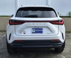 Used 2022 Lexus NX 250 FWD image 4