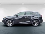 Certified 2021 Lexus NX 300 AWD w/ Premium Package image 4