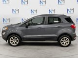 Used 2019 Ford EcoSport SE image 2