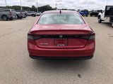Used 2024 Honda Accord EX image 6