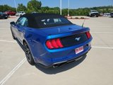 Used 2018 Ford Mustang Premium w/ Equipment Group 201A image 3
