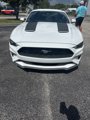 Certified 2019 Ford Mustang Coupe image 2