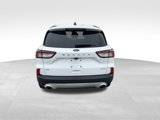 Certified 2021 Ford Escape SE w/ Cold Weather Package image 3