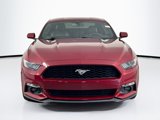 Used 2017 Ford Mustang Premium w/ Equipment Group 201A image 2