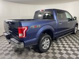 Used 2016 Ford F150 XLT w/ Equipment Group 302A Luxury image 6