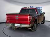 Used 2014 Ford F150 XLT w/ Equipment Group 302A Luxury image 5