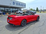 Used 2023 Ford Mustang Premium image 2