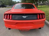 Used 2016 Ford Mustang Coupe w/ Enhanced Security Package image 6