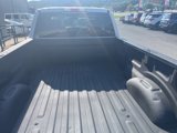 Used 2019 Ford F150 XLT w/ Equipment Group 301A Mid image 3