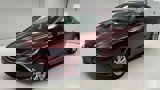 View Video