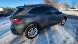 Used 2022 Ford Escape SE w/ Convenience Package image 5