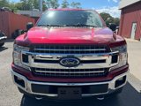 Certified 2019 Ford F150 XLT w/ Equipment Group 302A Luxury image 2