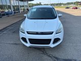 Used 2014 Ford Escape SE image 2