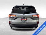 Used 2021 Ford Escape SEL image 5